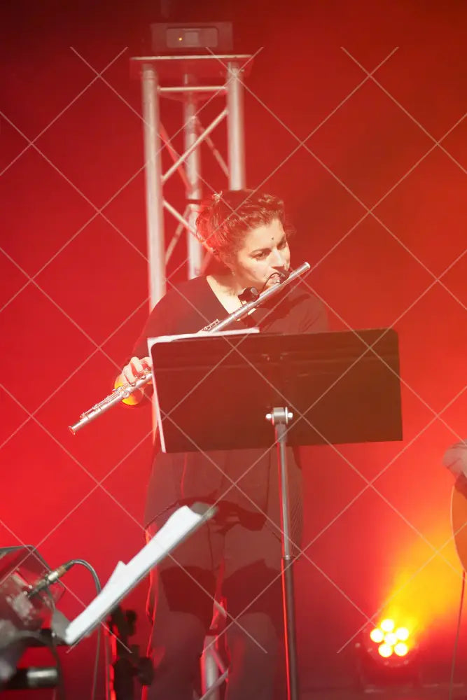 Photographies De Concerts Virtuelle / 11