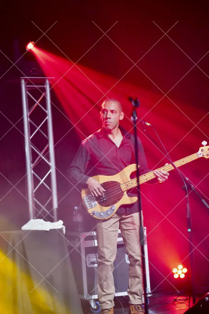 Photographies De Concerts Virtuelle / 13